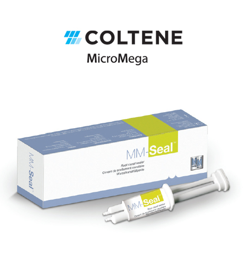 Coltene MicroMega MM-Seal Epoksi Rezin Esaslı Kanal Dolgu Patı