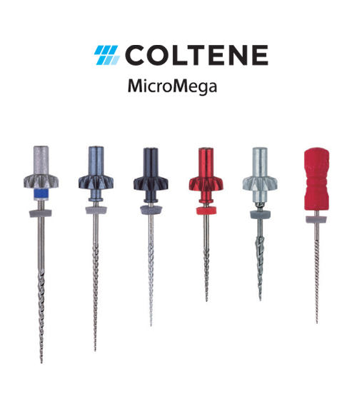 Coltene MicroMega R-Endo InGeT Ni-Ti Eğe